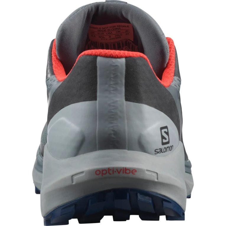 Tenis Para Trail Running Salomon Sense Ride 4 GTX Invisible Fit Hombre Grises | MX TEGA957